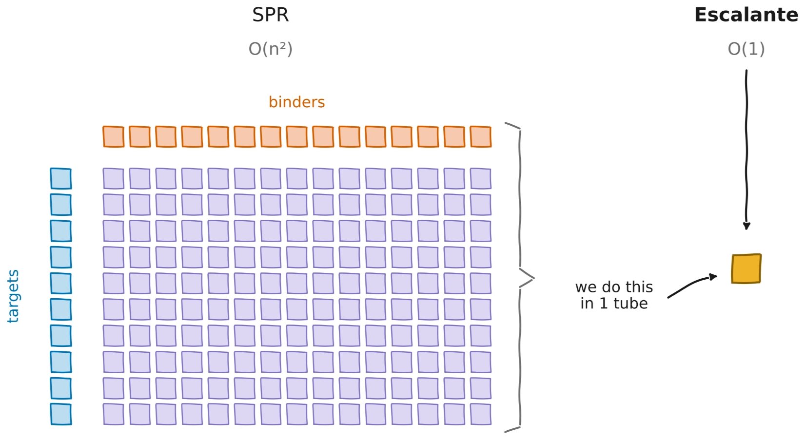 SPR needs an n-by-n grid of binder–target measurements, O(n²). Escalante measures the whole matrix in a single tube, O(1).