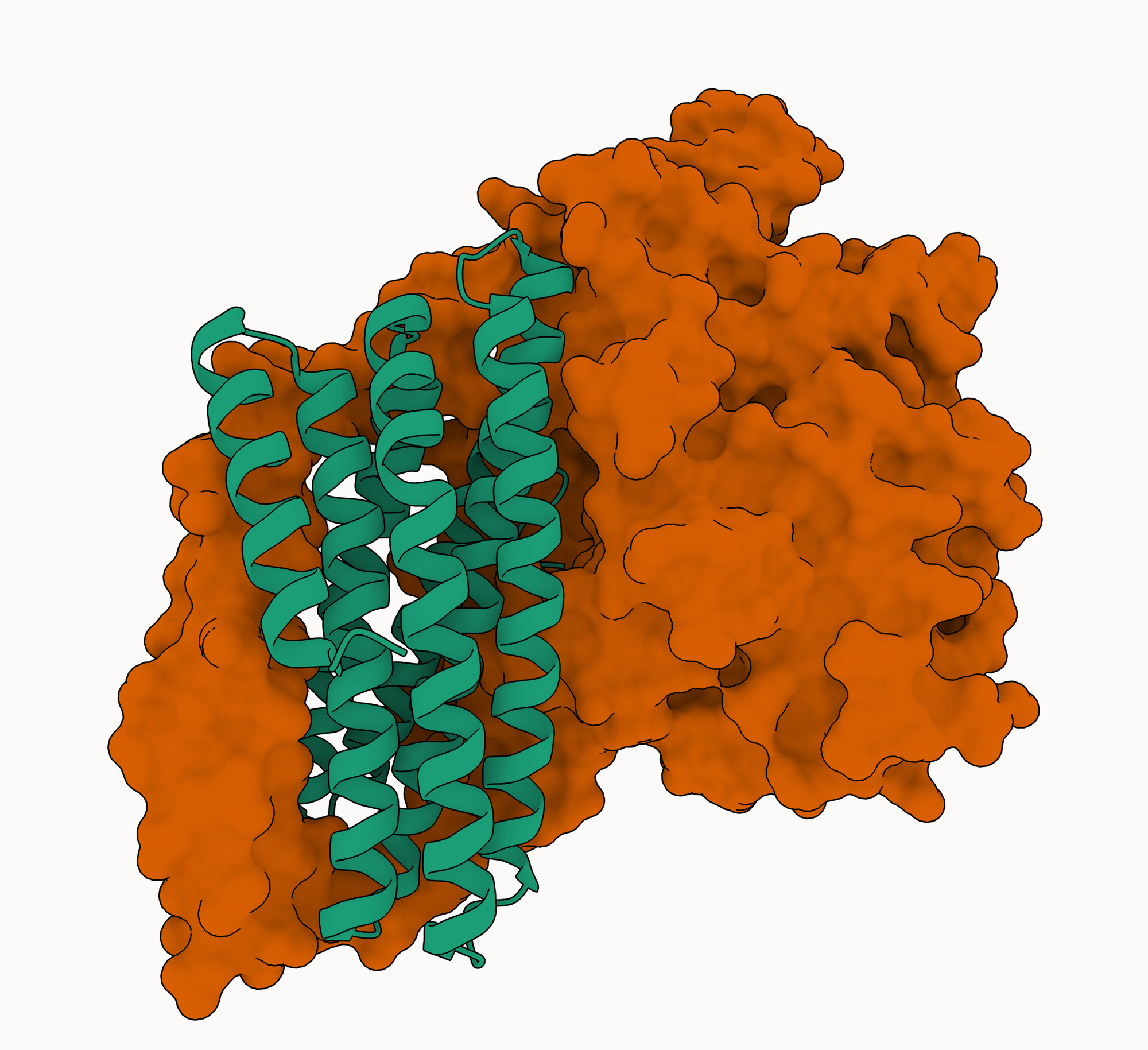 Winning the de novo portion of the Adaptyv Nipah binder competition